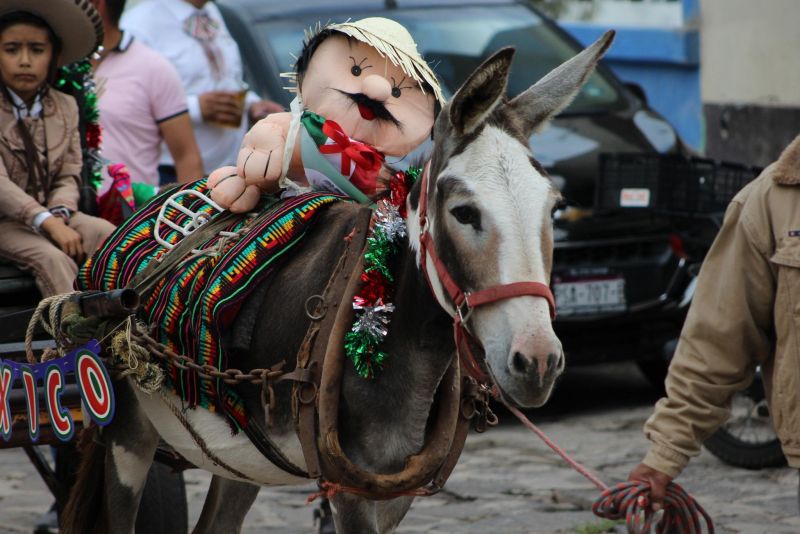 El Recorrido de “La Burrita”